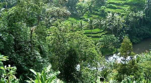 ���}�b�N�t�B�[�@�t�߂��A�������]��